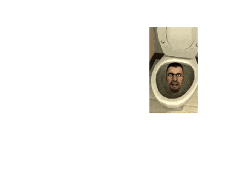 skibidi