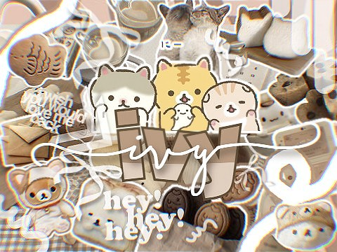˚₍ ᐢ.ˬ.ᐢ₎˚୨୧ order folder ! ミ