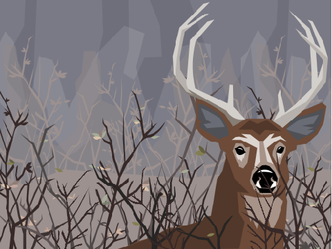 oh deer