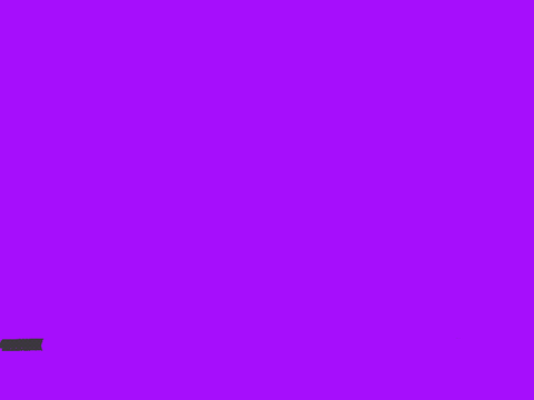 Animation