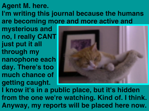 MESSAGE for DaSpyCat