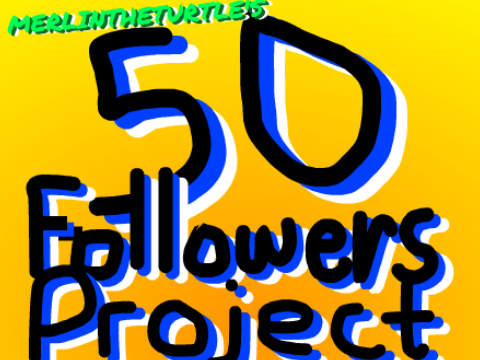 50 Followers Project