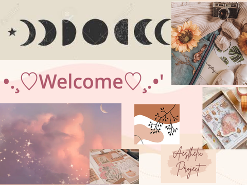 *ೃ✧˚. ❃ Aesthetic Profile ➴ ↳ ♡₊˚.