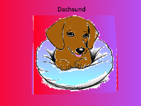 Dachsund #art 