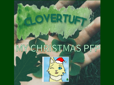 My christmas pfp