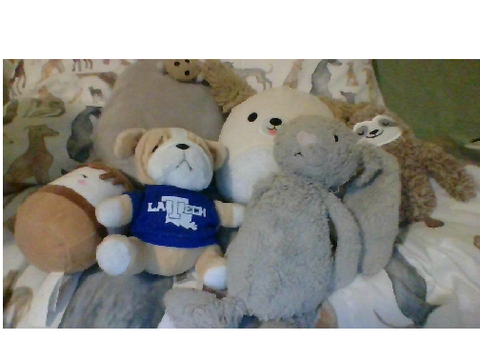 Bedclan