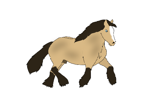 ONE of my MANY horses 
