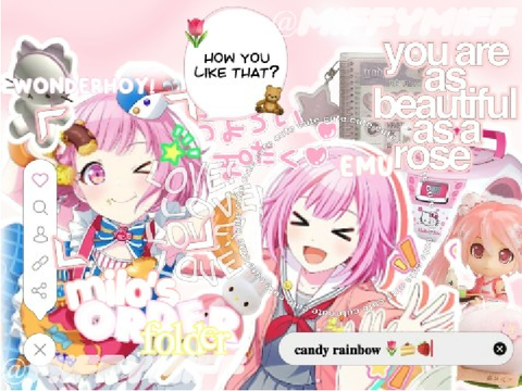 mil✿'s order folder ꒷꒦