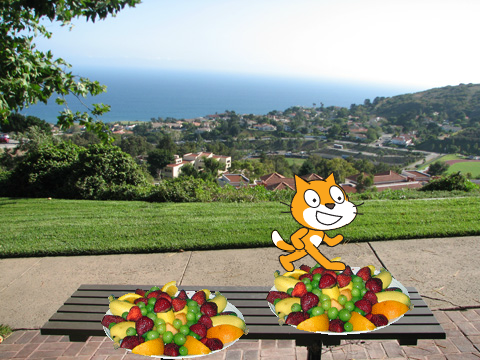 cat eating fruits