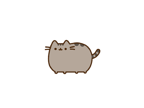 pusheen answer 