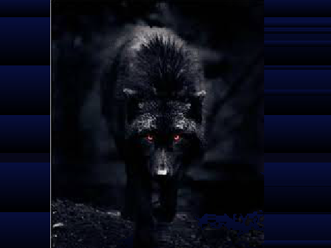 killer wolf / red eyes for a studio ONLY!