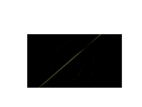Ben 10 gif