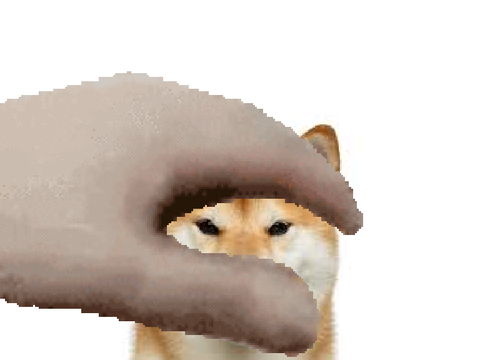 the chibu inu