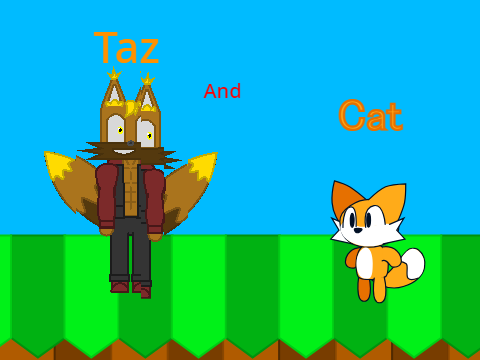 Fight Taz version negative one cat