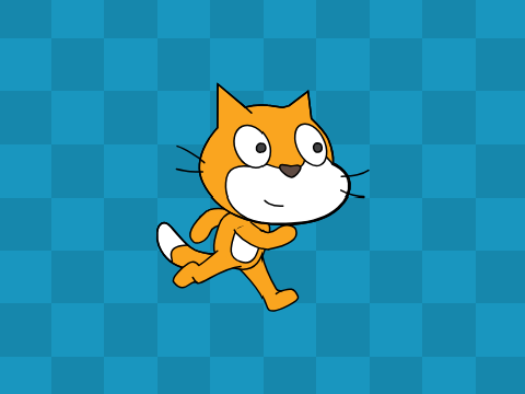Cat go run