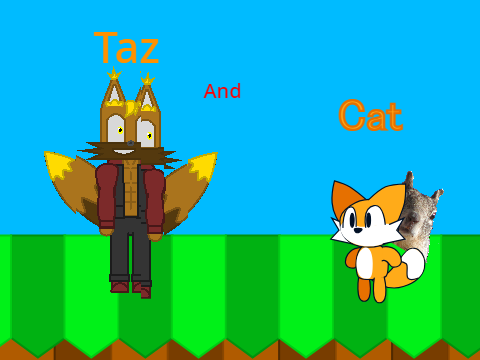 Taz V-1 vs Cat (1)