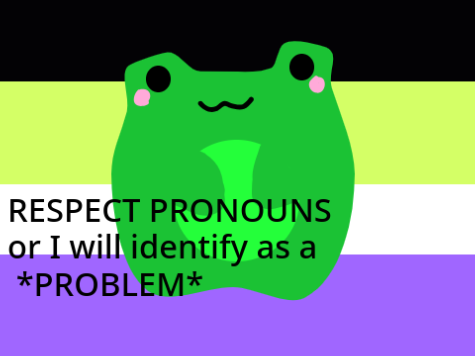RESPECT PRONOUNS!!! 