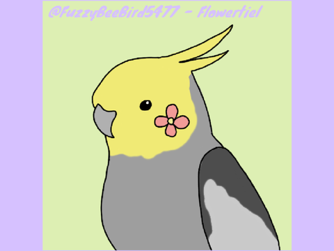 - Pfp Batch #1 || The Bird Icon Shop -