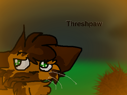 Threshpaw audition.