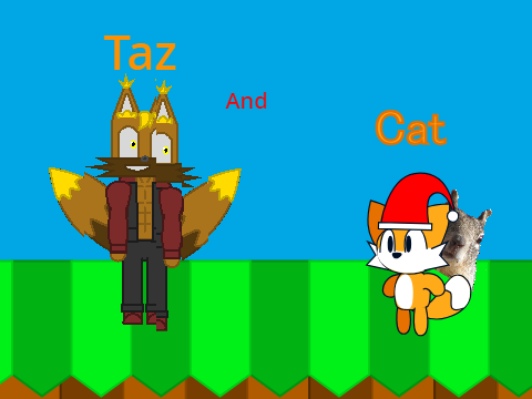 Taz V-1 vs Cat (3)