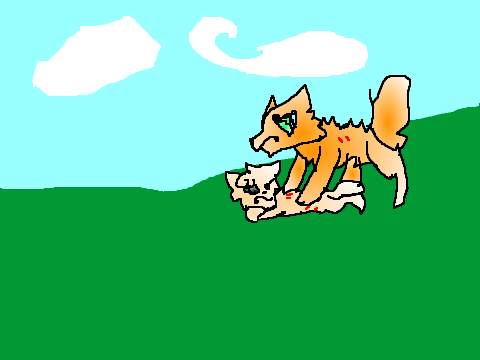 FireStars And SandStorms Fight