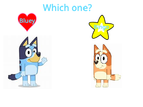 Bingo or Bluey?