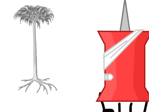 Lepidodendron.