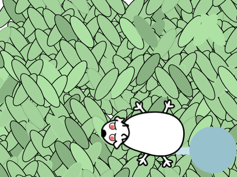 Guinea Pig Pet