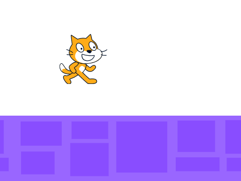 bouncy cat