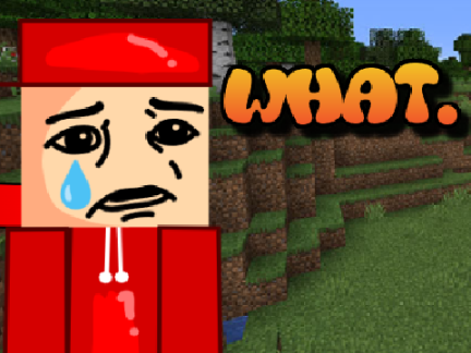 OG Minecraft be like: