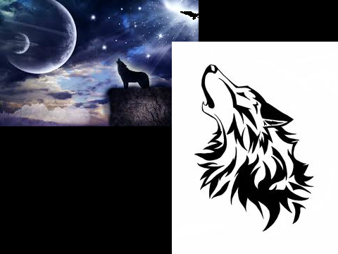 WOLVES!!!!!!!!!!!