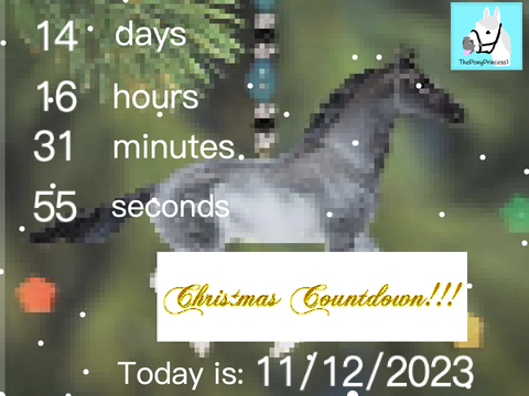 Christmas Countdown!!!