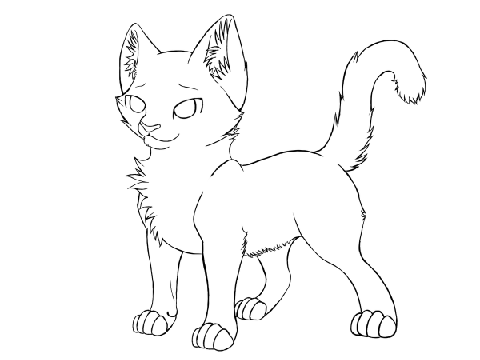 Warrior cat Contest!