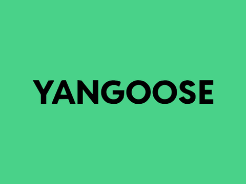 Intro ▶ YanGoose