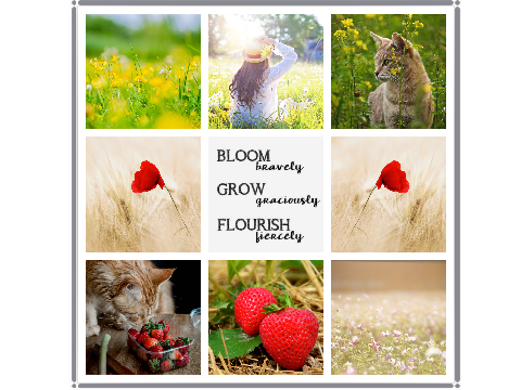 Strawberries and Flowers for @ChueyTheCatBFF