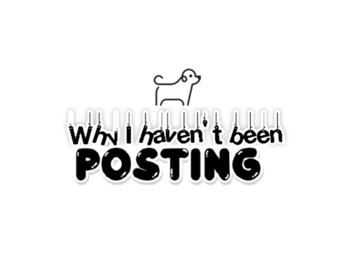 Why I haven't posted...