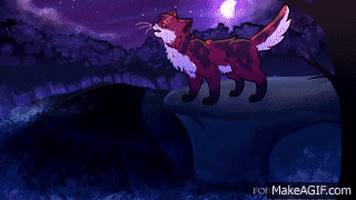 Animals - Mapleshade Warrior Cats AMV