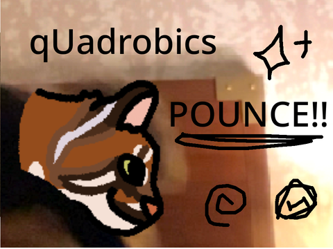 qUadrobics POUNCE!!