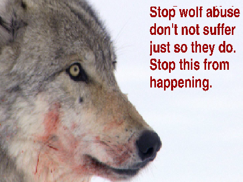 Save the wolves!!!!!!!!!!!!!!!!!!!!!!!!!!!!!!!!!!!!!