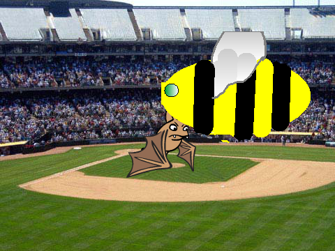 Big Bumble 1