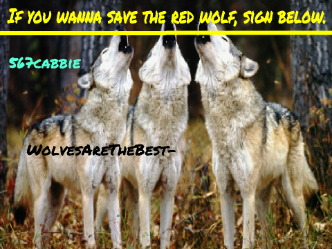 Save The Red Wolves!!!! remix