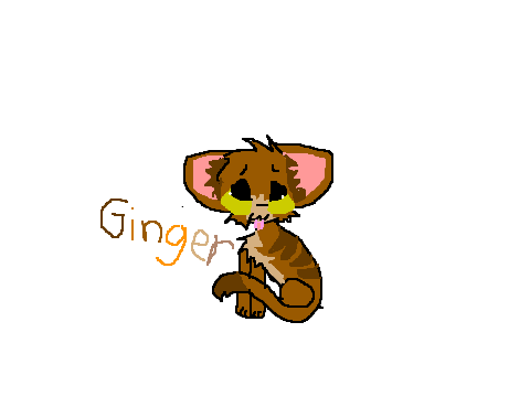 * G i n g e r *