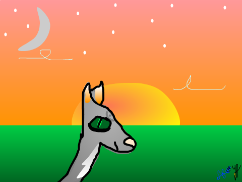 Gray Cat at Sunset