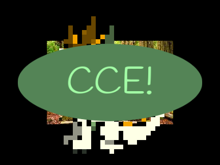 < CCE >