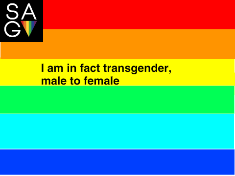 LGBT-SAGA