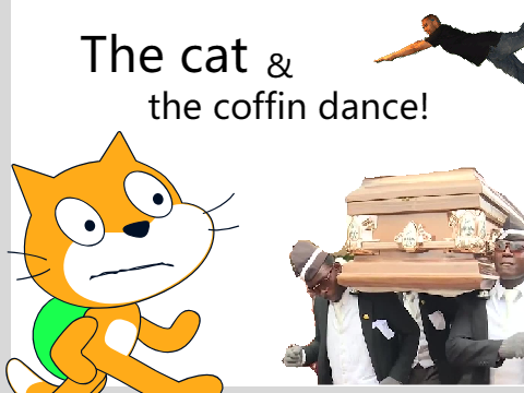 The cat and the coffin dance!