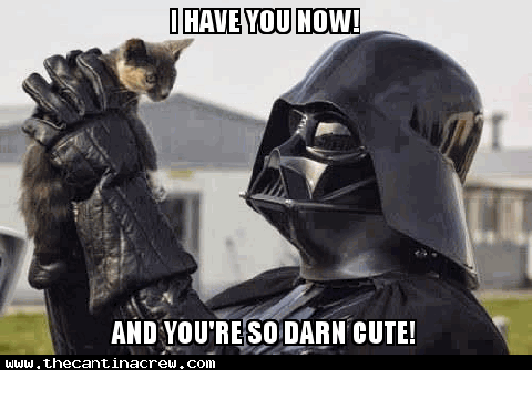 Has Darth Vader gone soft!!???