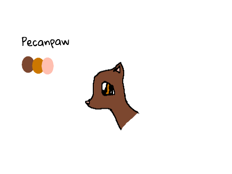 Pecanpaw (Warriors Cats OC)