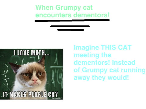 Harry Potter and Grumpy Cat