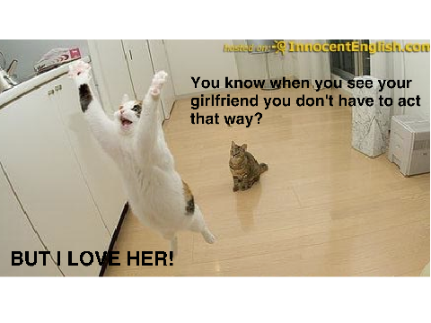 meme contest entry!